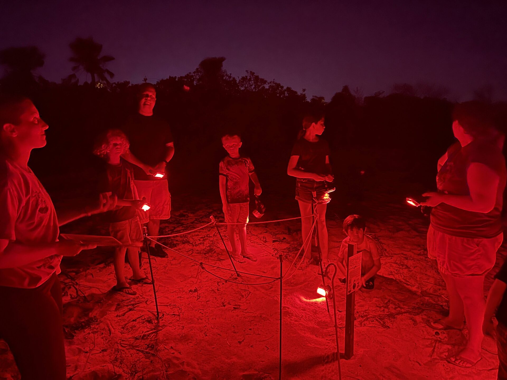Volunteer night patrollers monitor existing sea turtle nest at dawn on the beach