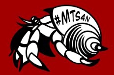MTS4N