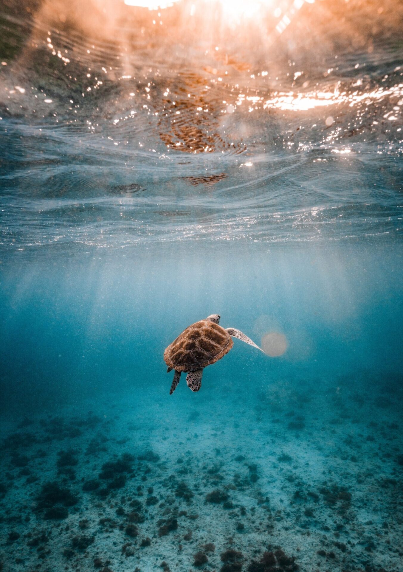 patrick-jansen-G-S5hYka7ug-unsplash-scaled