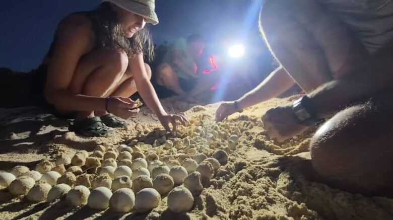 nesting_website-1