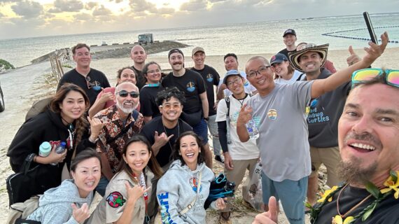 seaturtle_festival_website_1