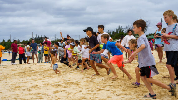 seaturtle_festival_website_25