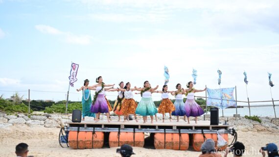 seaturtle_festival_website_5