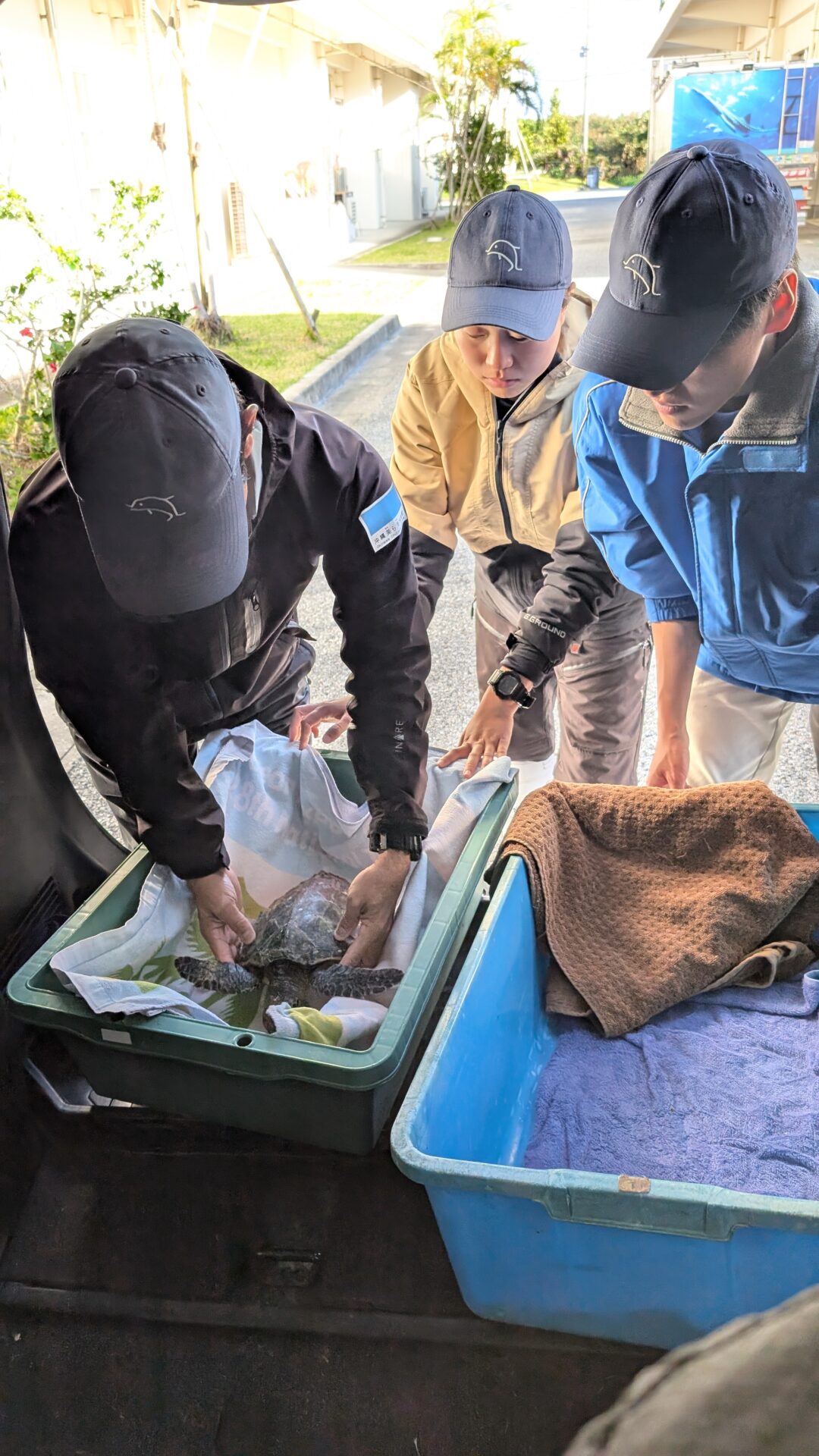 Churaumi staff help Churaumi staff