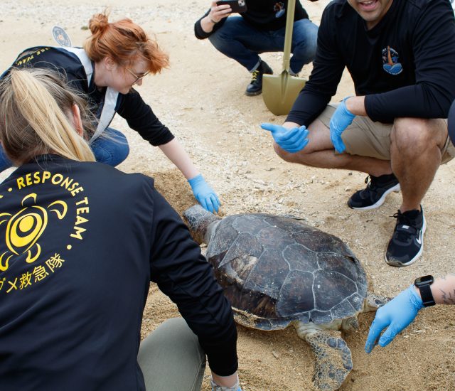 stranding response team